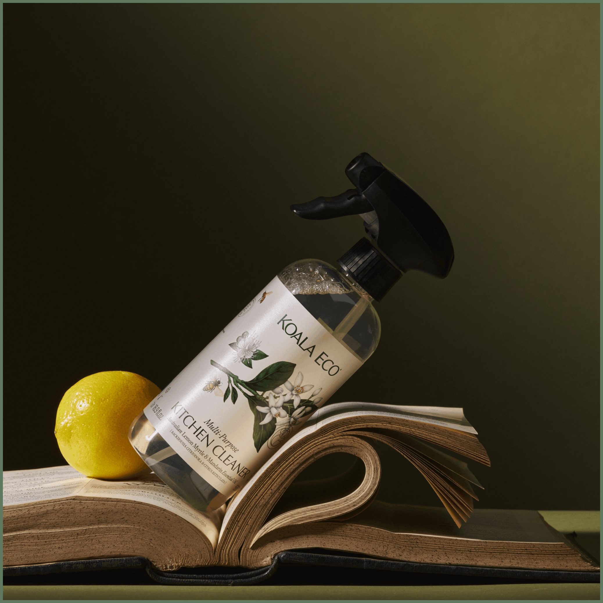 Kitchen Cleaner