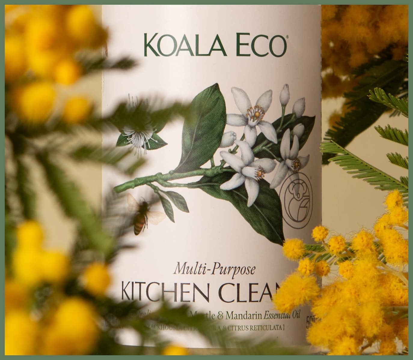 Kitchen Cleaner