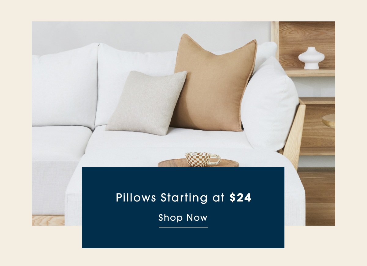 Pillows Starting at $24