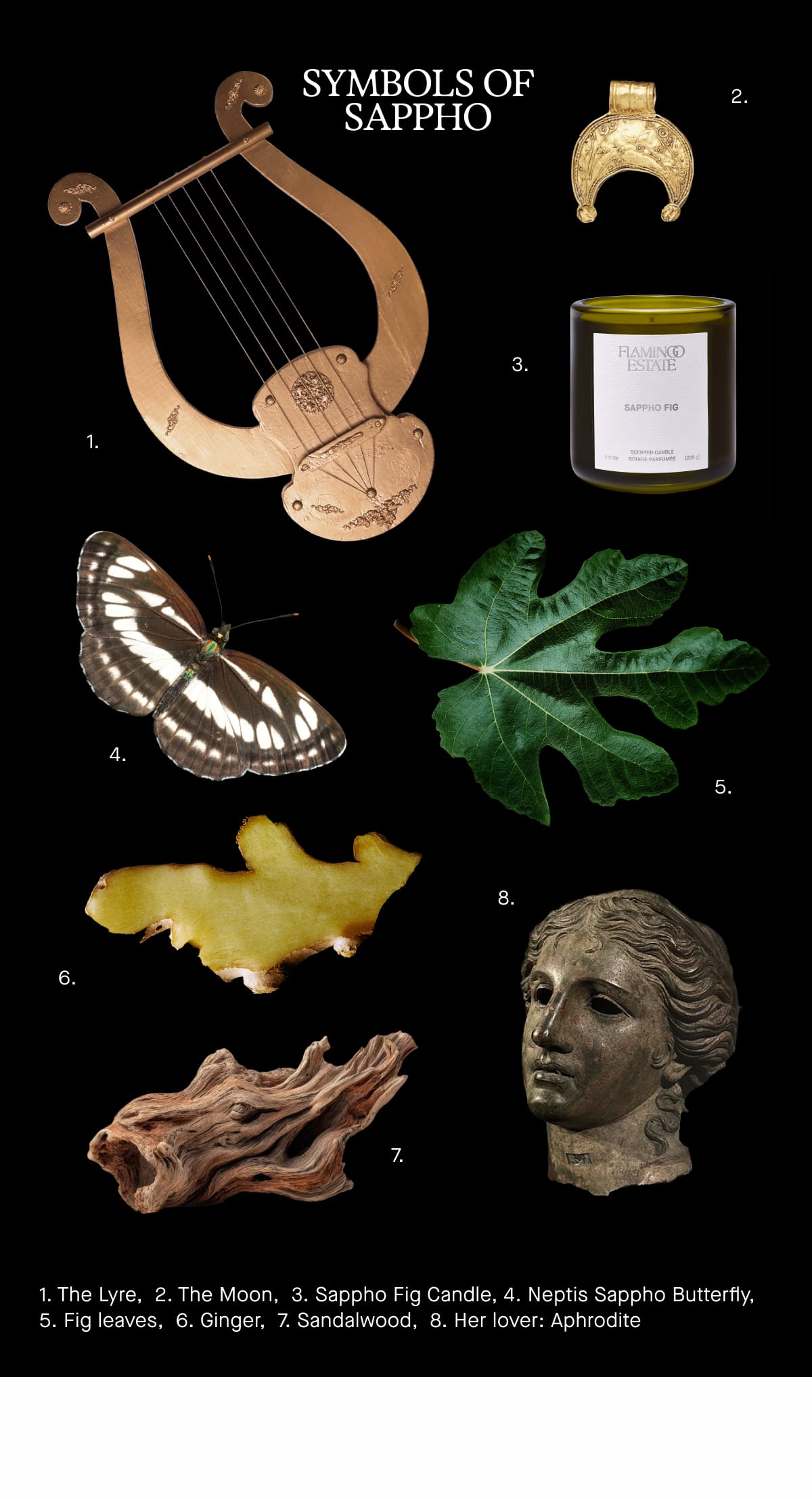 Sappho Fig
