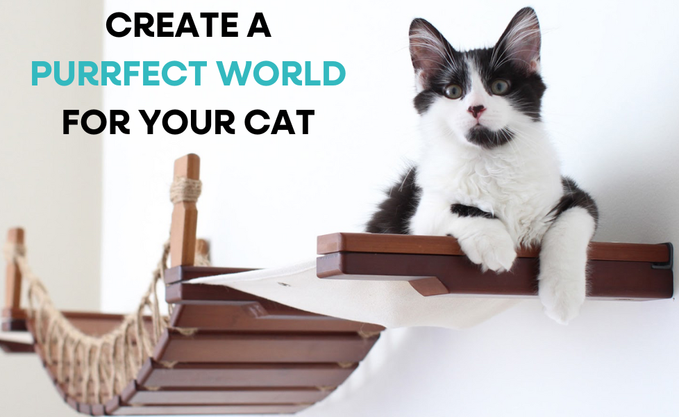 PRODUCTS WITH PURRPOSE