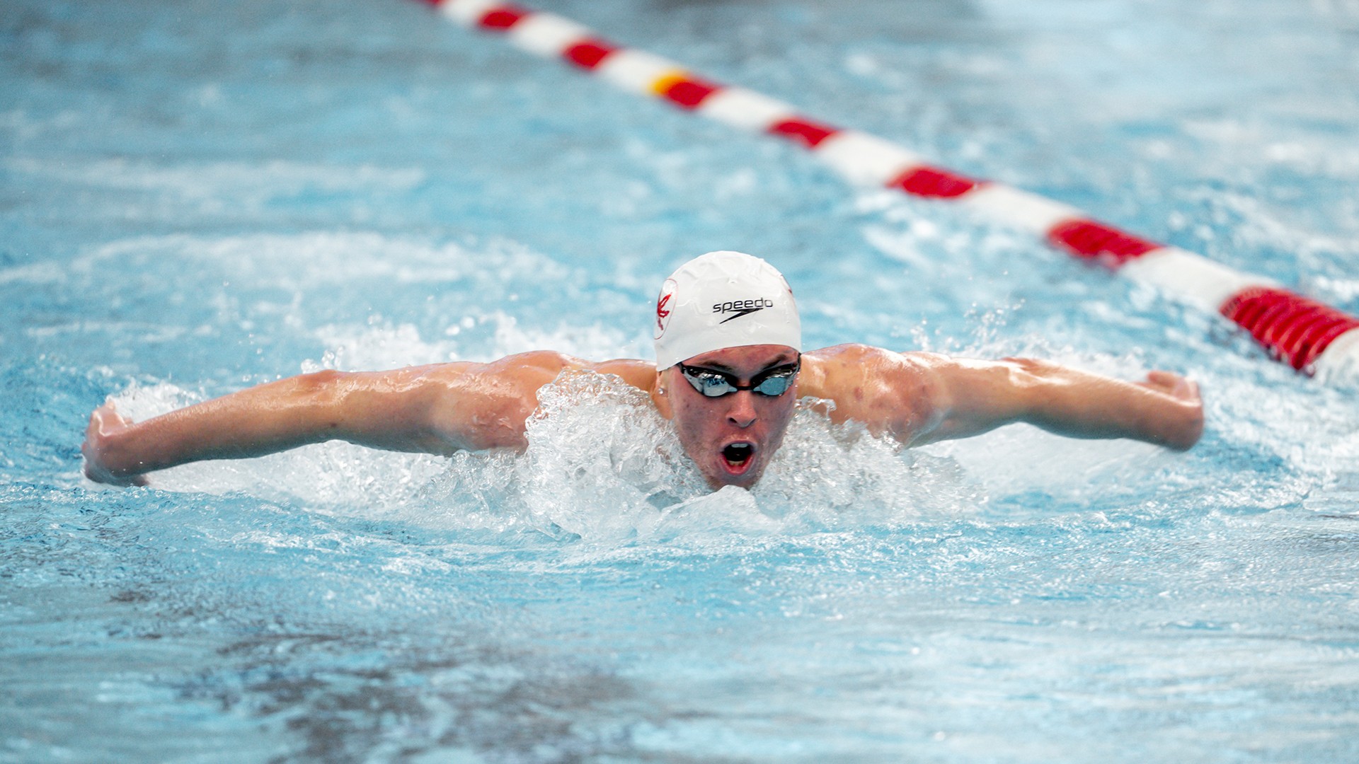 READ MORE | Men's & Women's Swim & Dive
