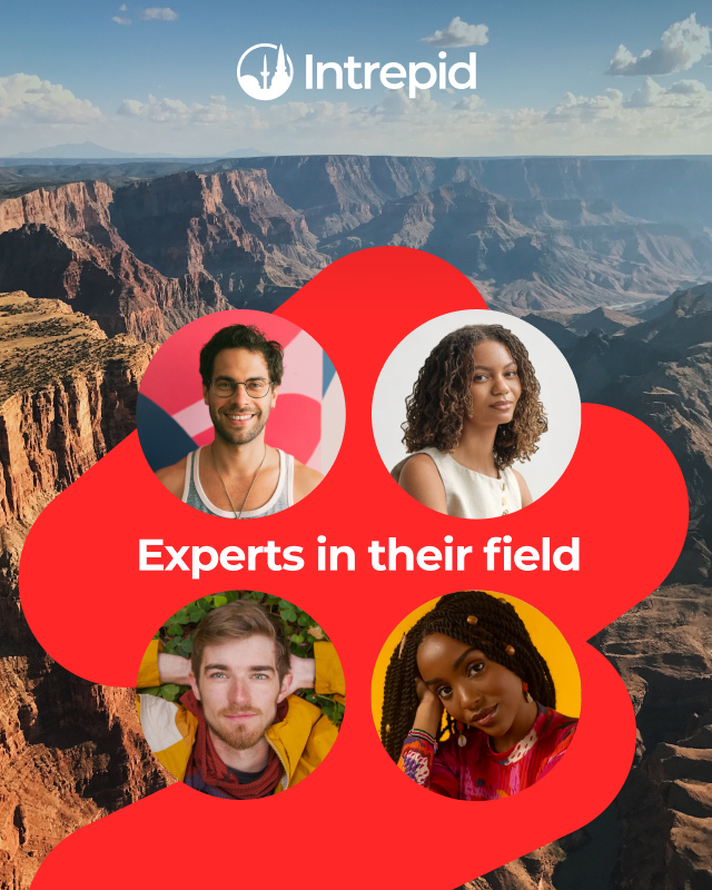 Experts in their field