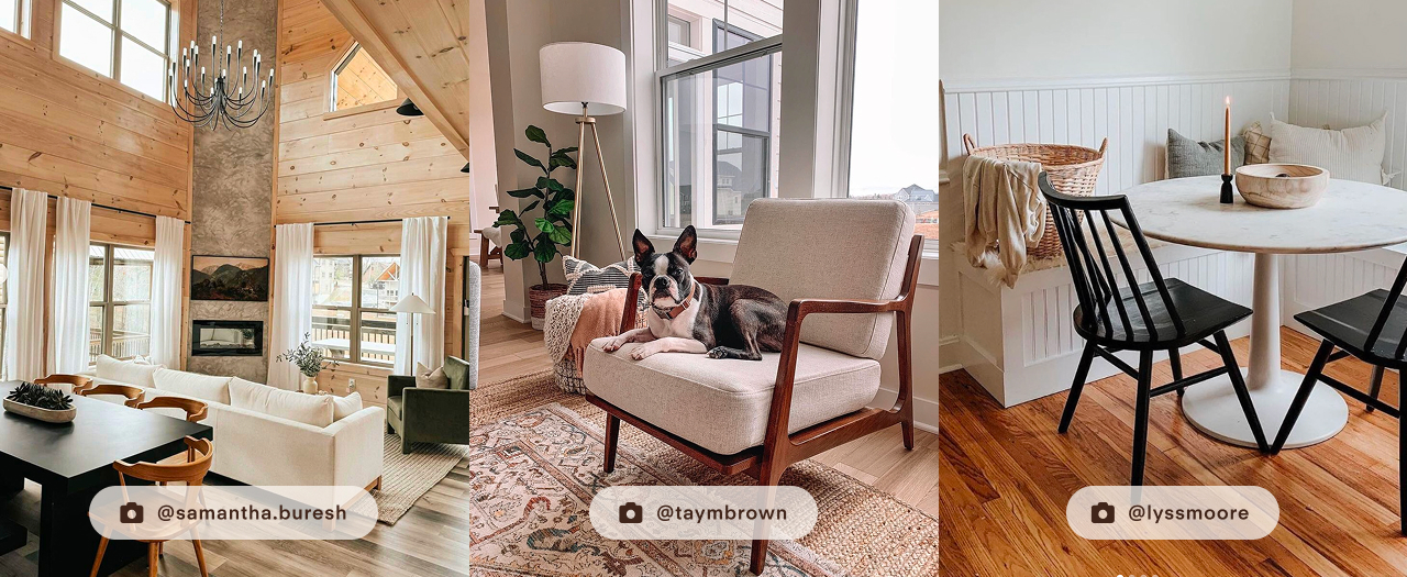 Visit Poly & Bark's Instagram