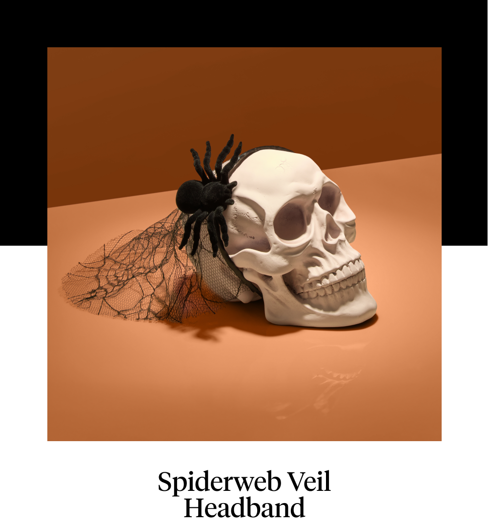 Spiderweb Veil Headband
