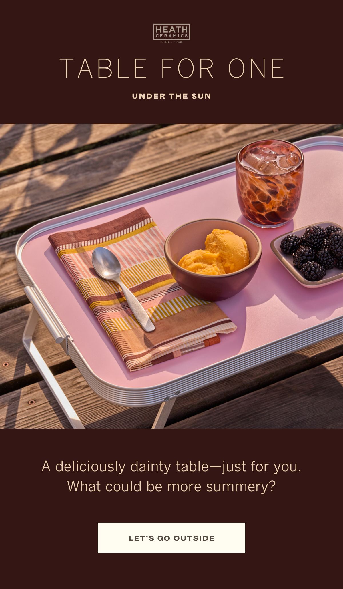 Discover summer picnic essentials