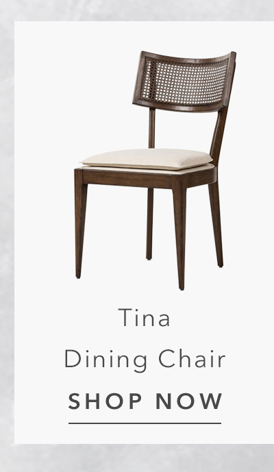 Tina Modern Beige Performance Dark Brown Oak Wood Cane Dining Chair