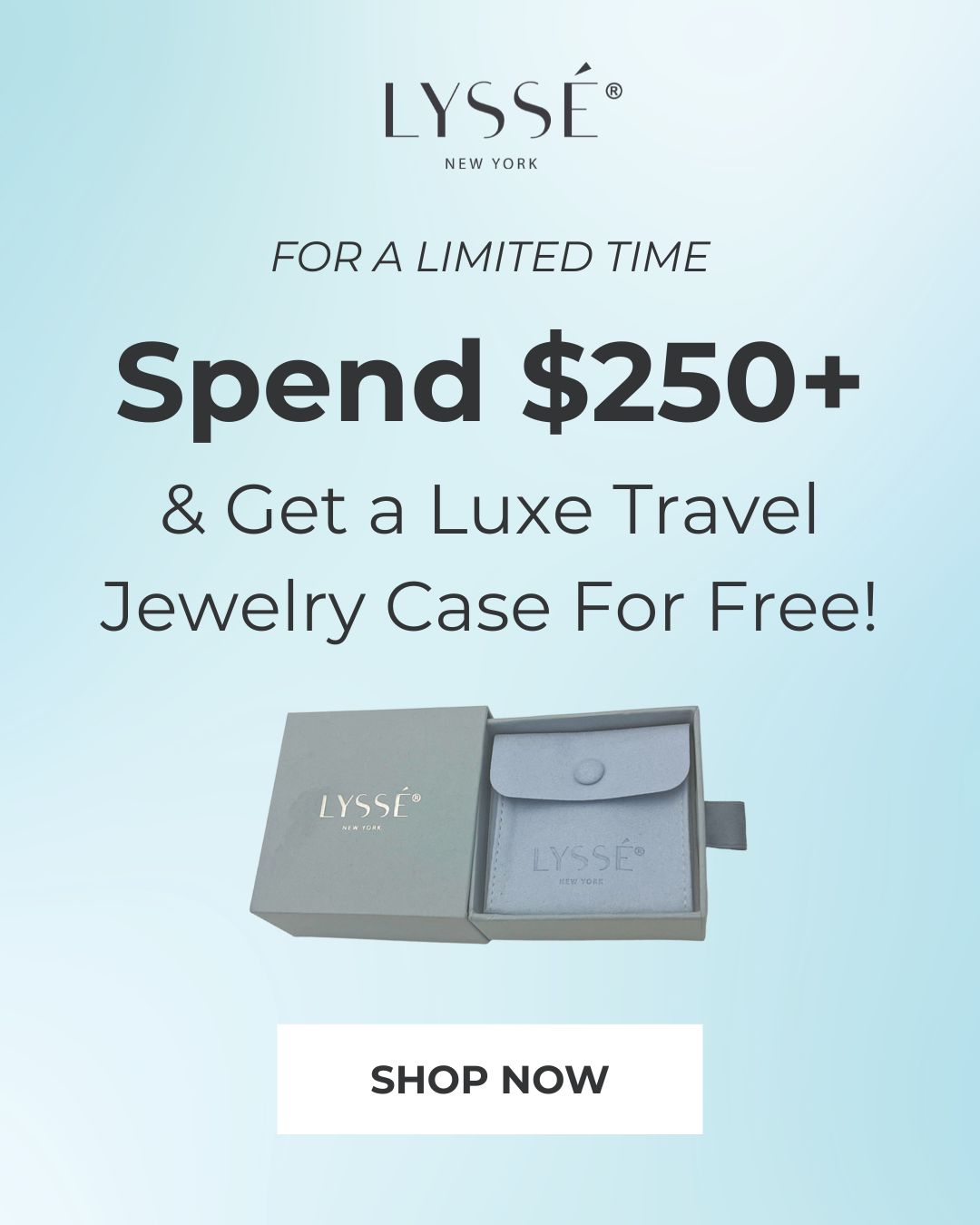 Spend $250+ & Get a Luxe Travel Jewelry Case For Free!