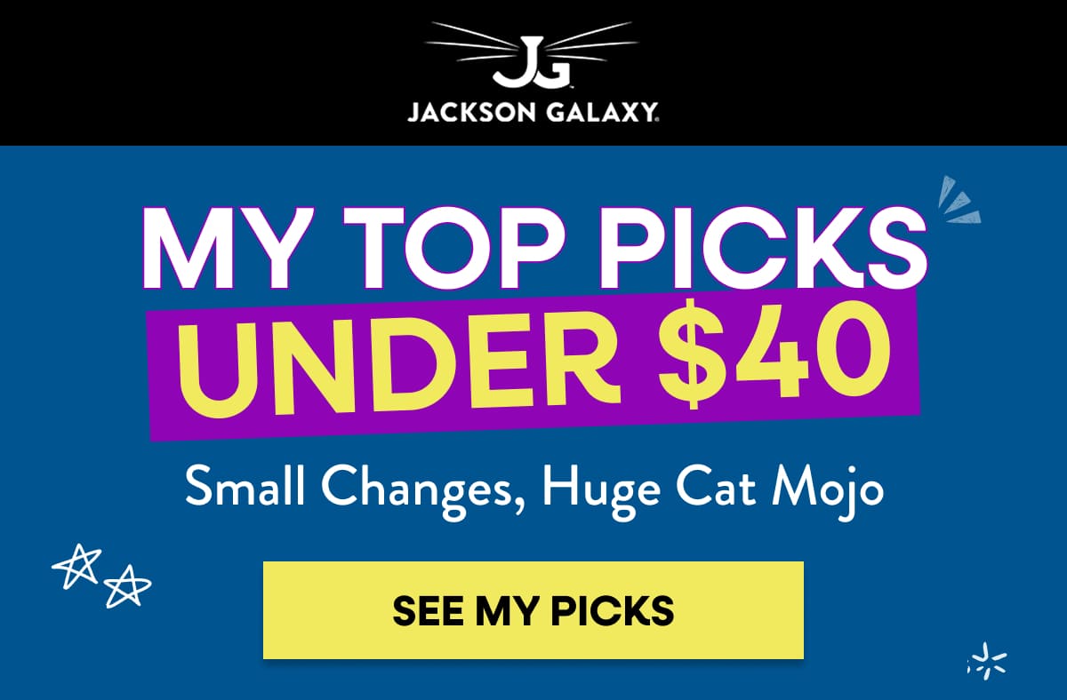 My Top picks Under $40