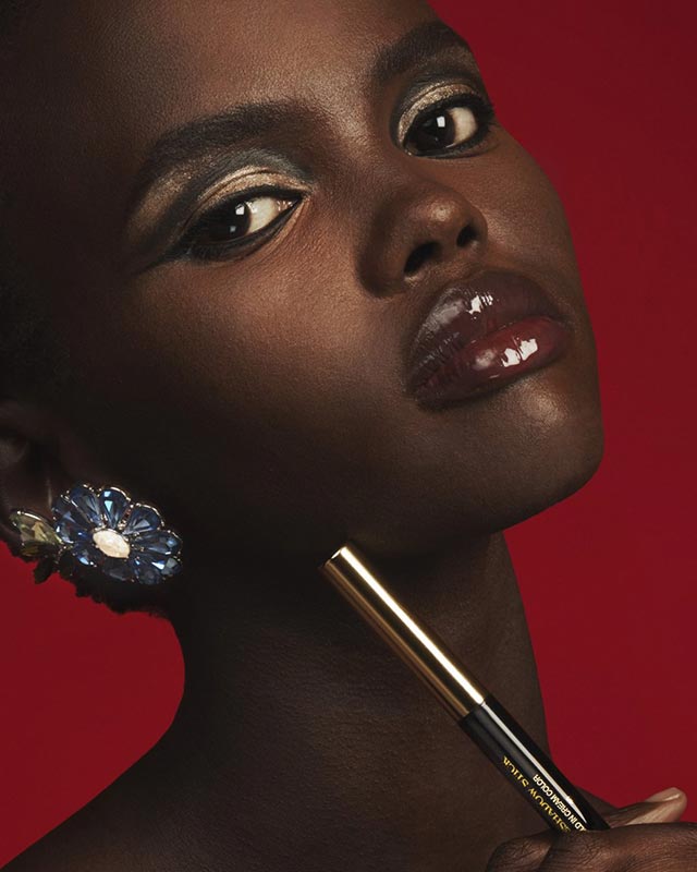Chic Eyeshadow Stick