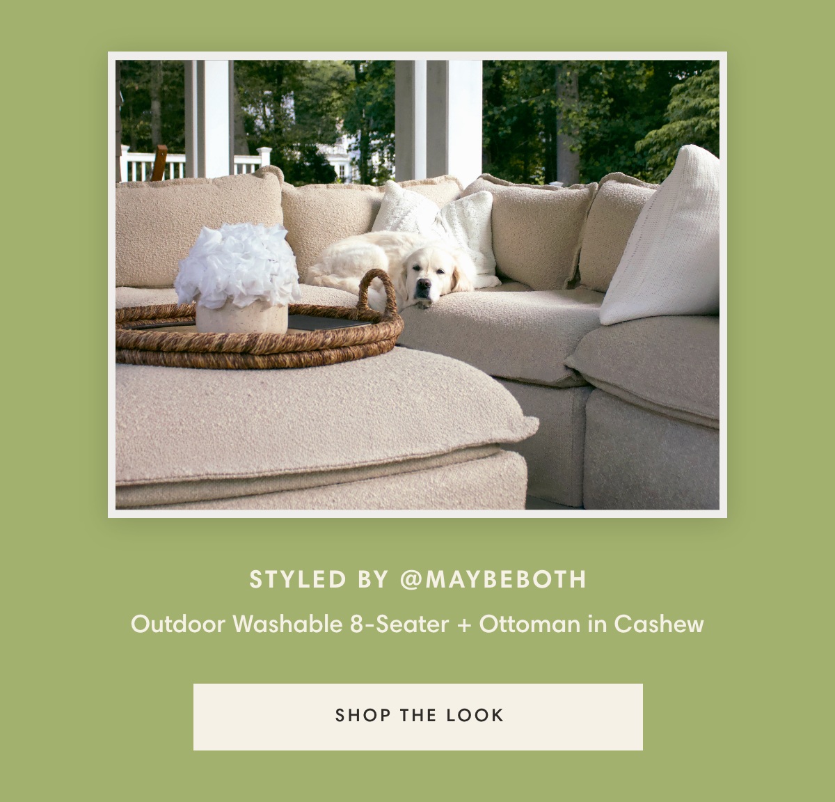 Shop The Look