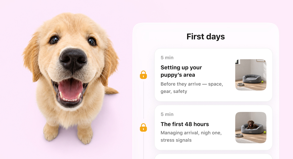 New Puppy Basics