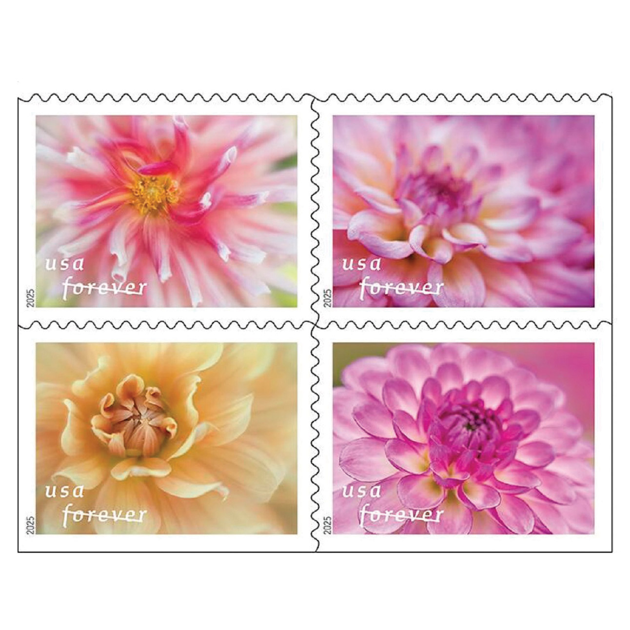 USPS First-Class Forever Stamp, 100-Count