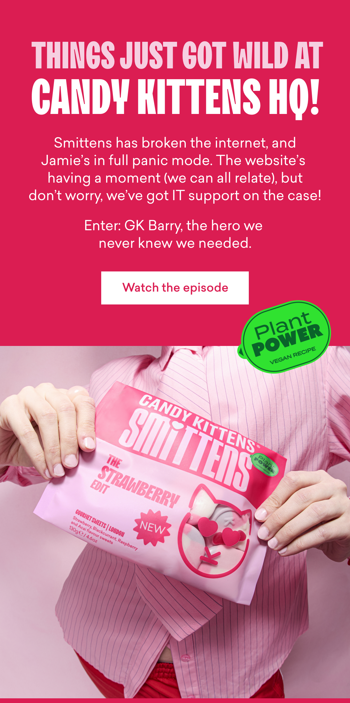 Things just got&nbsp;wild&nbsp;at Candy Kittens HQ! 
