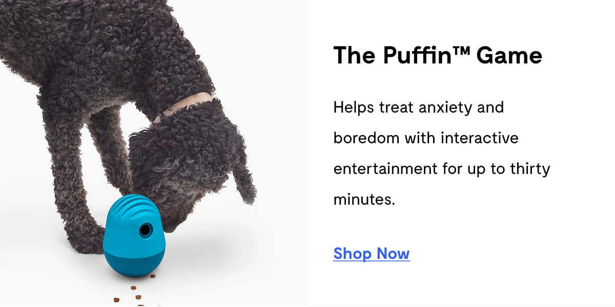 The Puffin™ Game