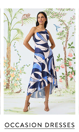 Shop Occasion Dresses 