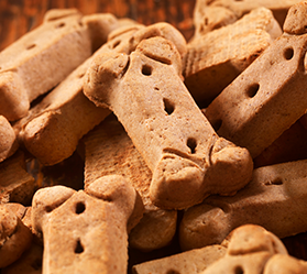 A pile of bone-shaped dog biscuits scattered on a dark wooden surface.