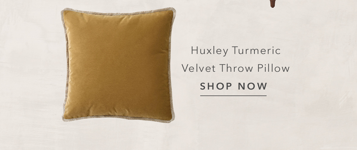 Huxley Turmeric Velvet Eyelash Trim Throw Pillow - 22x22