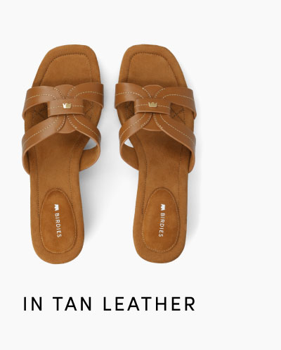 In Tan Leather