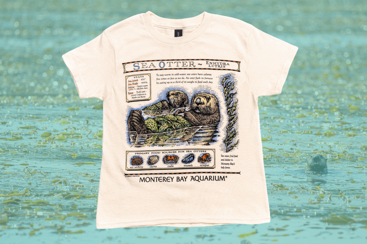 A cream colored shirt with a vintage Monterey Bay Aquarium sea otter illustration on the front