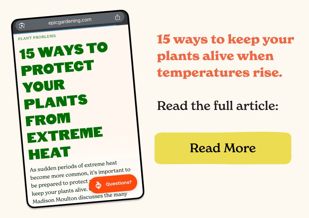 Read the full article: