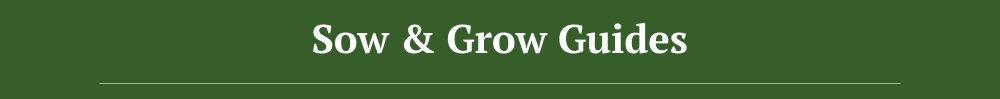 Sow & Grow Guides