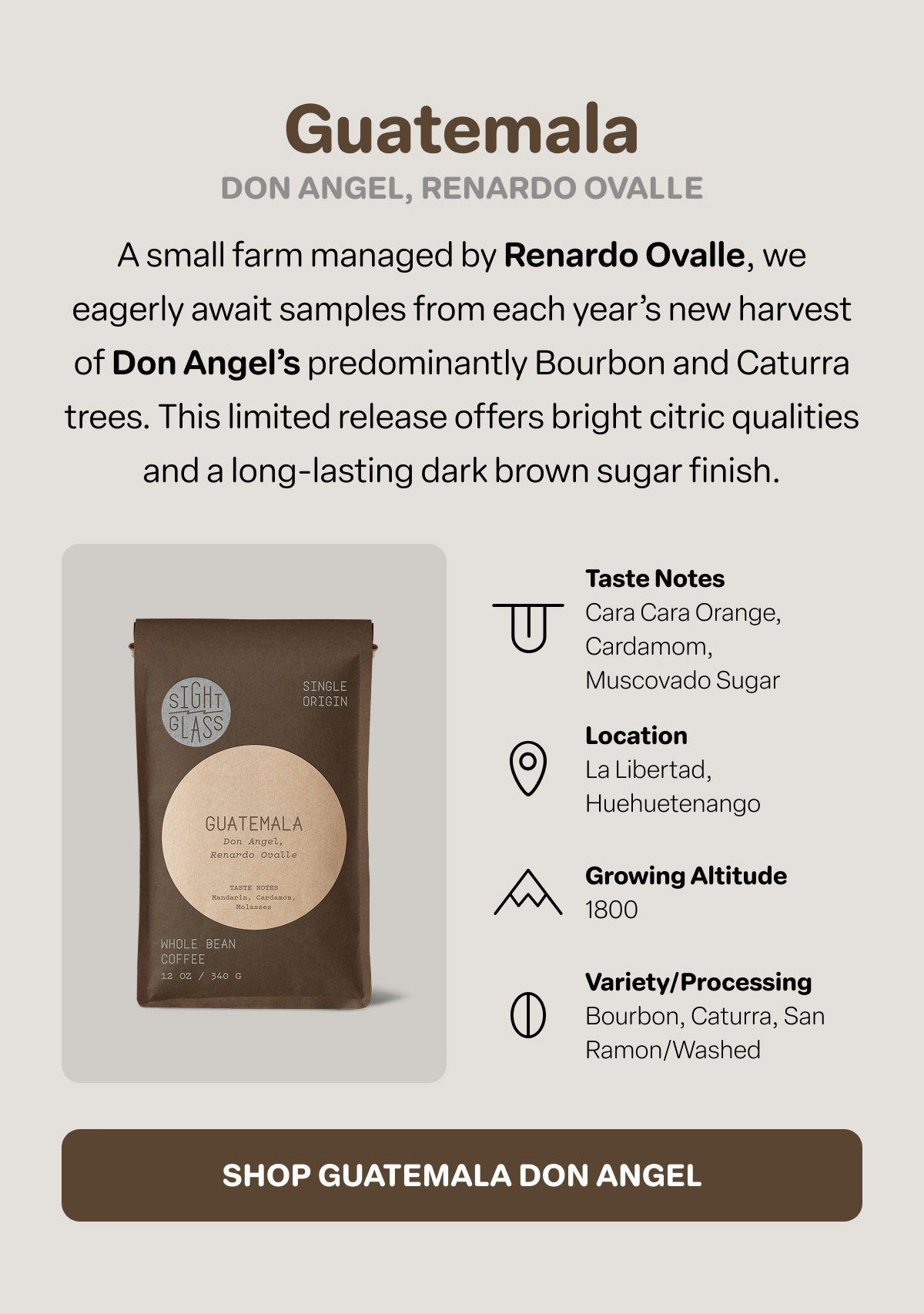 Guatemala Don Angel, Renardo Ovalle