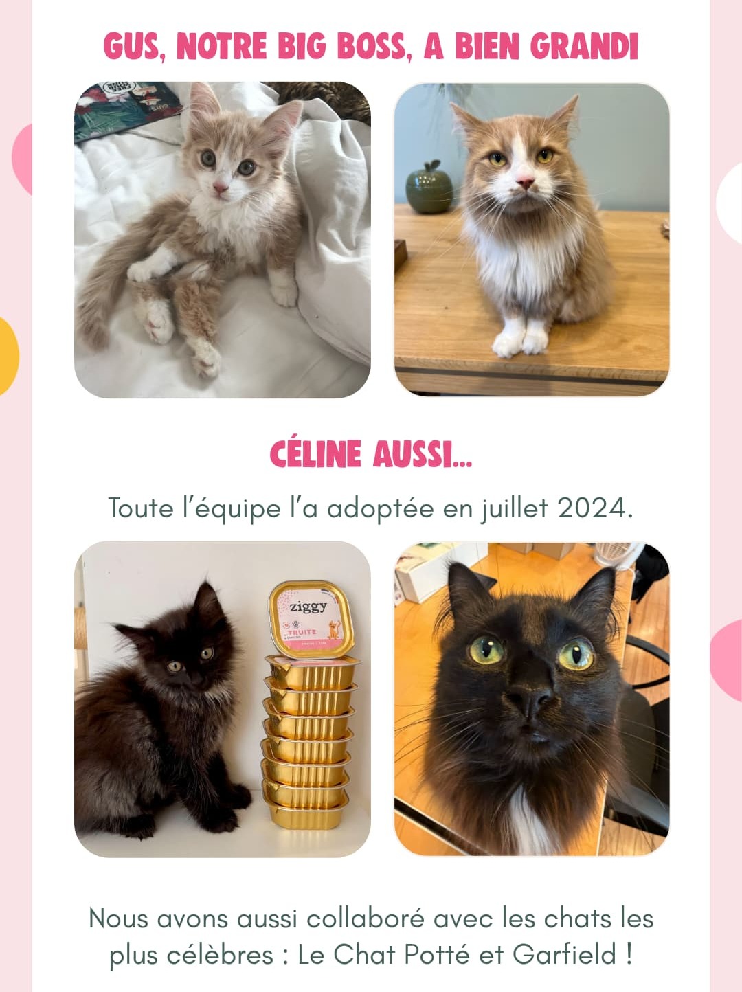 Gus, notre big boss, a bien grandi