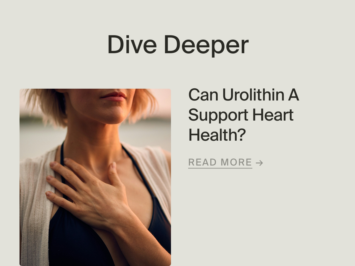 Can Urolithin A Support Heart Health? | Read More