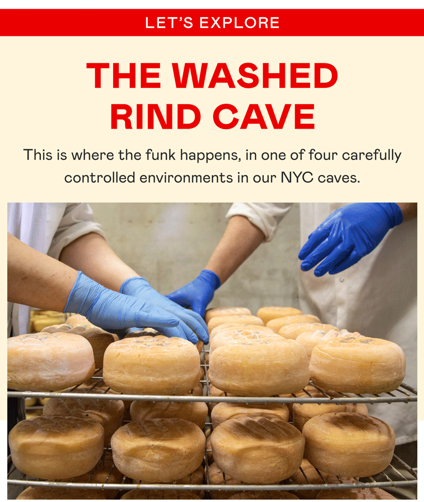 Let's Explore the Washed Rind Cave