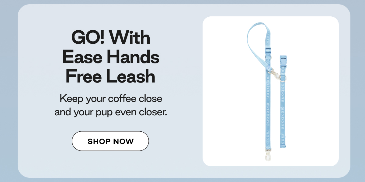Shop Hands Free Leash 