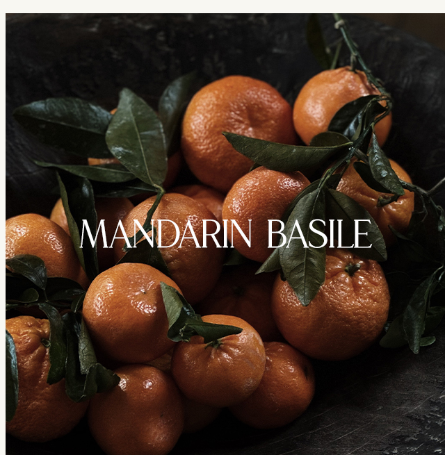 Mandarin Basile