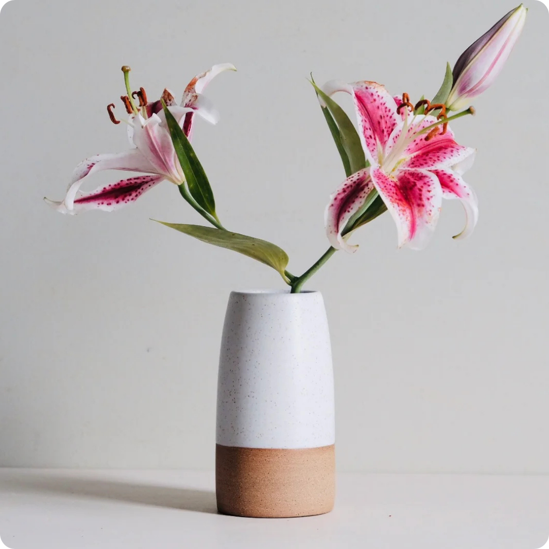 Arlo Vase