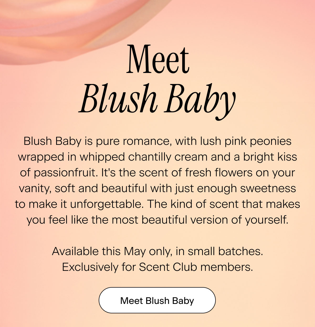 Meet Blush Baby. Blush Baby is pure romance, with lush pink peonies wrapped in whipped chantilly cream and a bright kiss of passionfruit. It's the scent of fresh flowers on your vanity, soft and beautiful with just enough sweetness to make it unforgettable. The kind of scent that makes you feel like the most beautiful version of yourself.  Available this May only, in small batches. Exclusively for Scent Club members. Meet Blush Baby