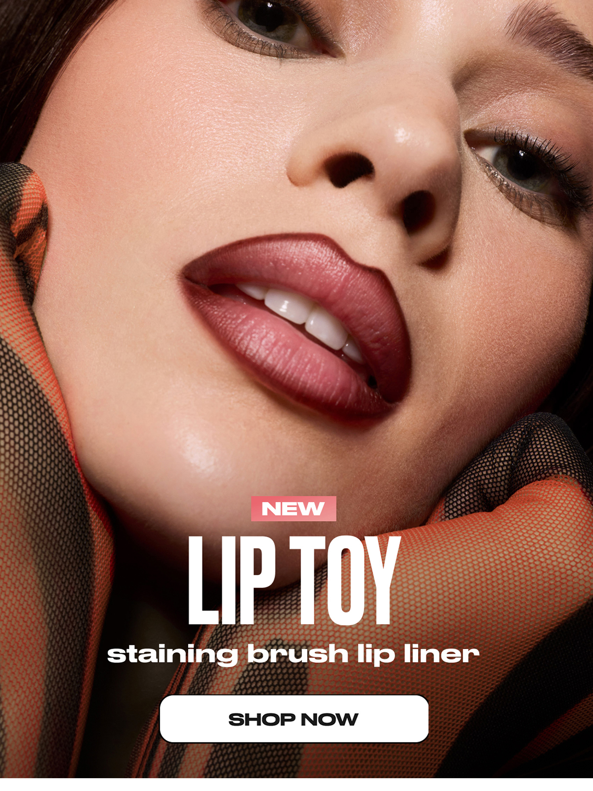 NEW LIP TOY staining brush lip liner