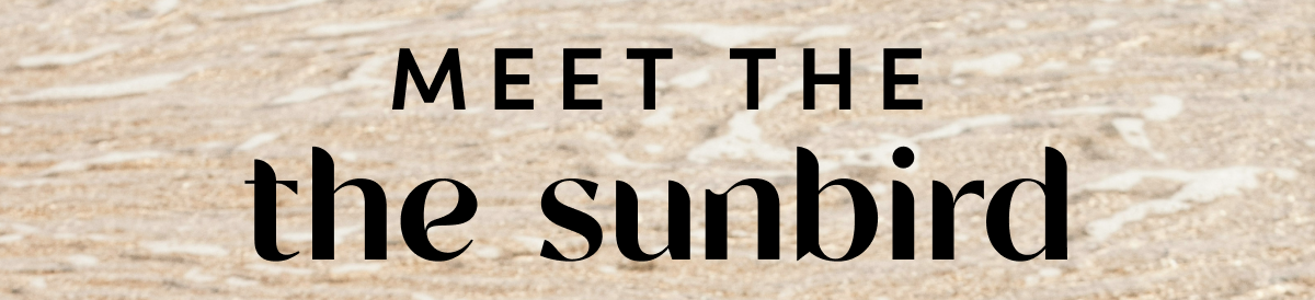 Meet the sunbird