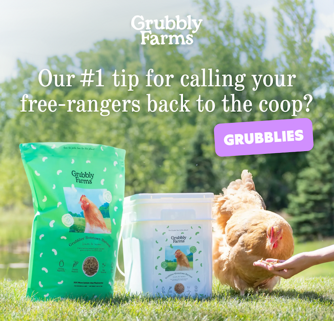 Our #1 tip for calling your free-rangers back to the coop? Grubblies