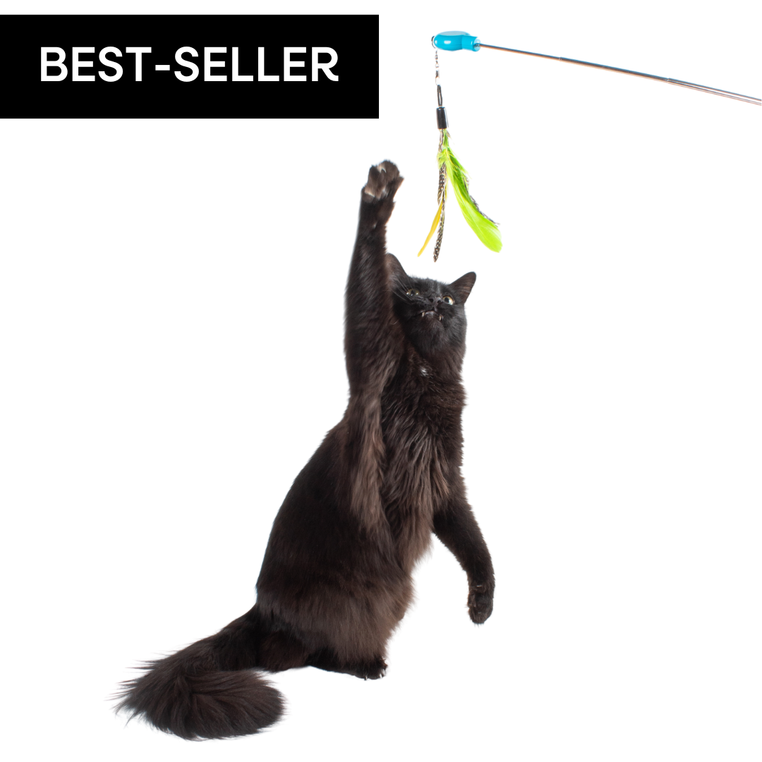 Image of Gotcha! Cat Wand Toy