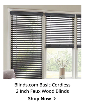 Blinds.com Basic Cordless 2 Inch Faux Wood Blinds | Shop Now >