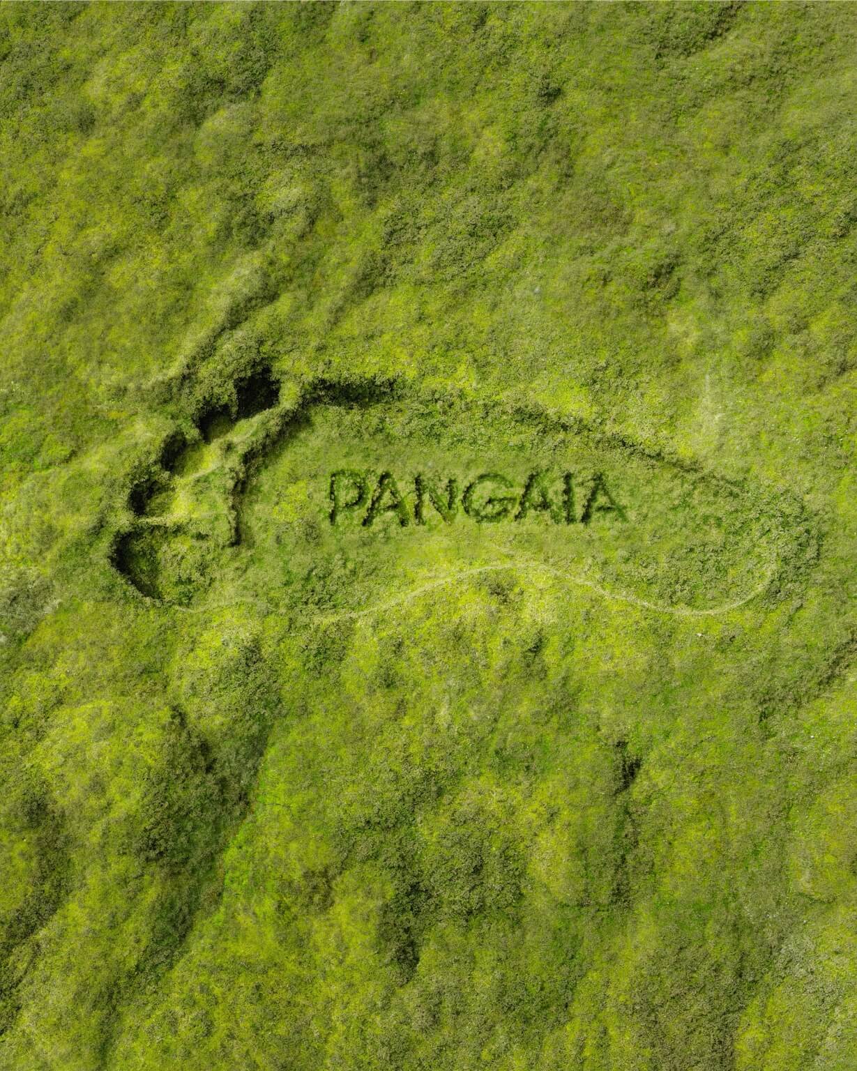 Pangaia Survey