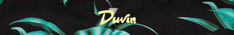 Duvin