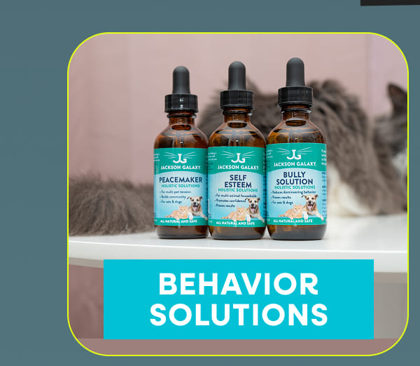 Behavior Solutions