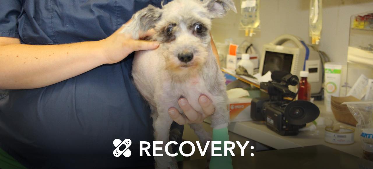 RECOVERY:
