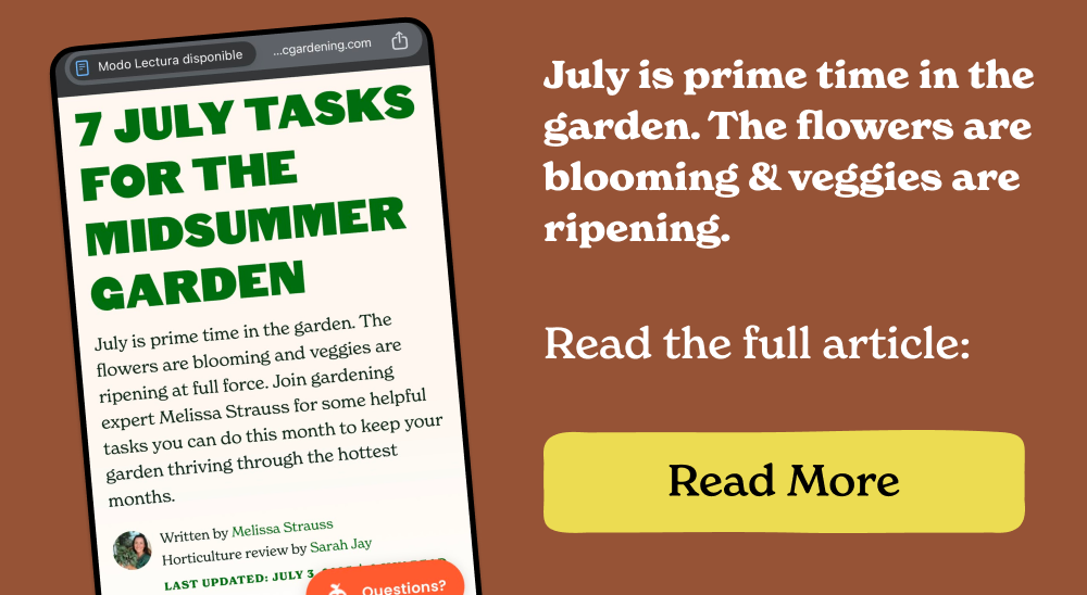 The flowers are blooming & veggies are ripening.