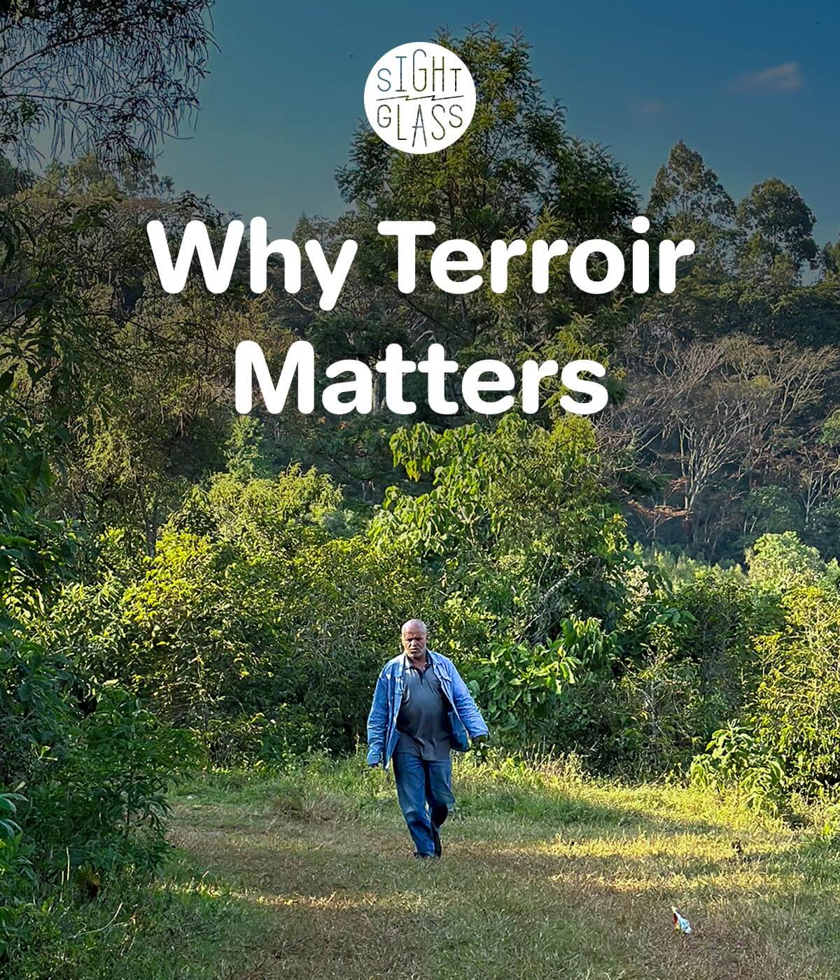 Why Terroir Matters