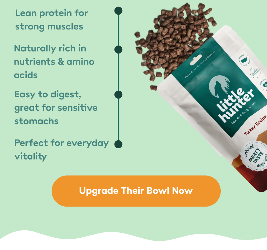 Upgrade Their Bowl Now