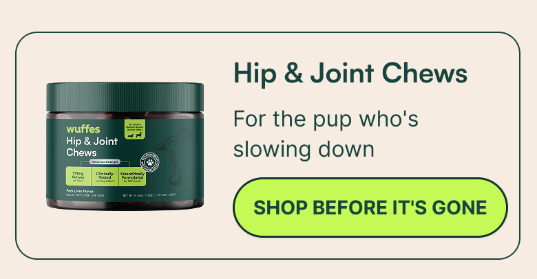 Hip & Joint Chews