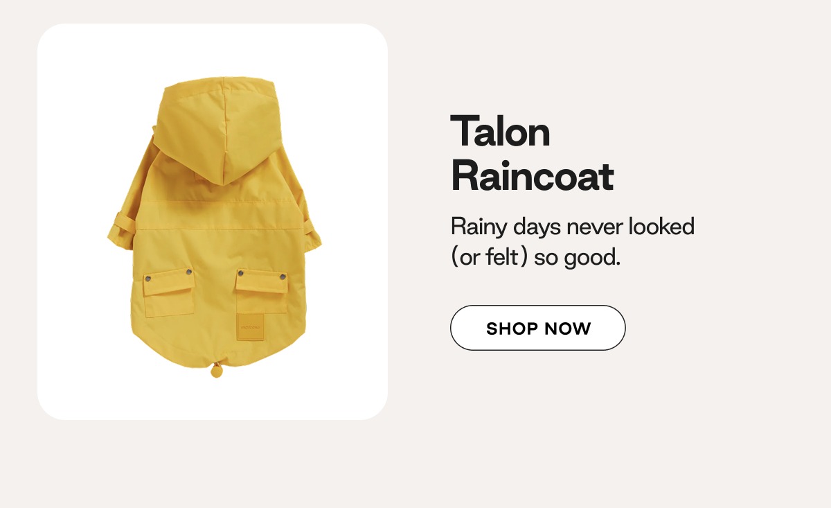 Shop Talon Raincoat 