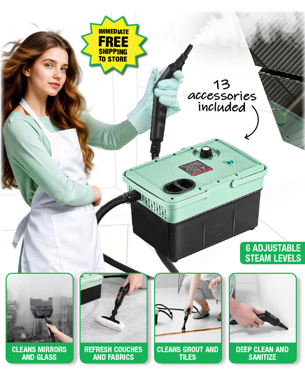 2500W Portable Steam Cleaner - ONLY $19.99 After Rebate*!