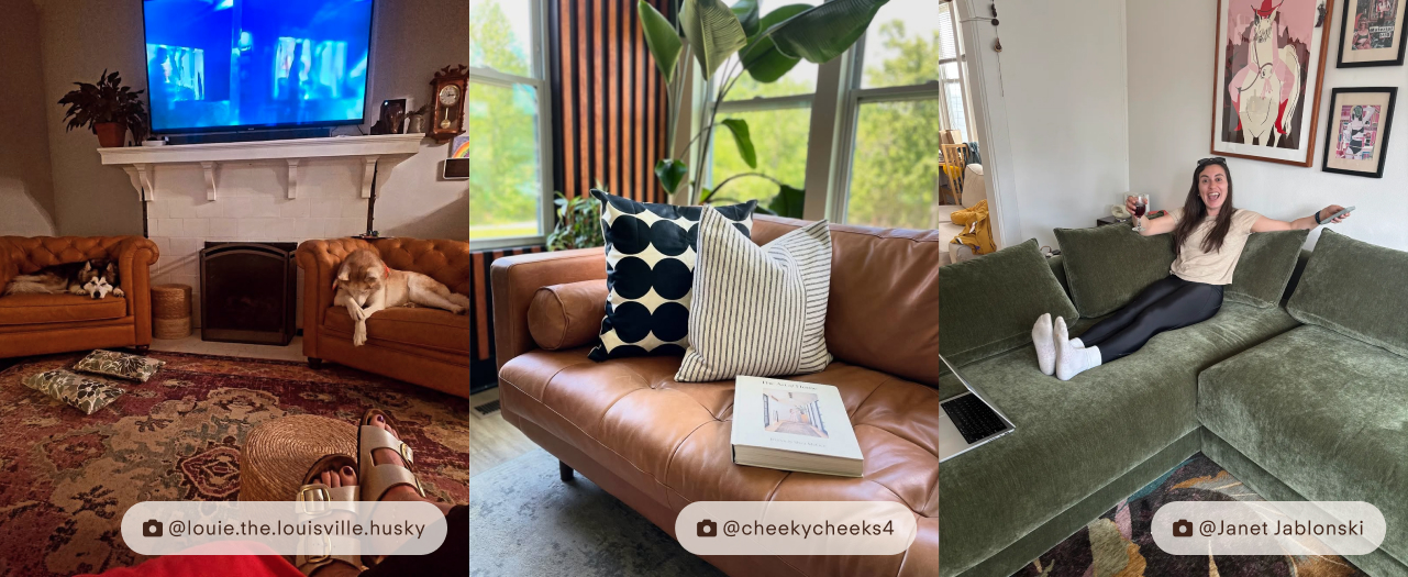 Visit Poly & Bark's Instagram